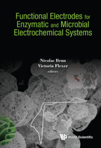 Functional Electrodes for Enzymatic and Microbial Electrochemical Systems