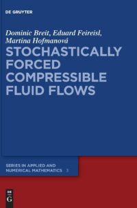 Stochastically Forced Compressible Fluid Flows: