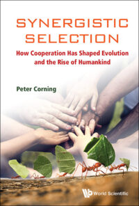 Synergistic Selection: How Cooperation Has Shaped Evolution and the Rise of Humankind