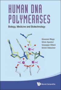 Human Dna Polymerases: Biology, Medicine and Biotechnology