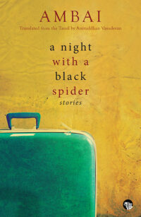 A Night with a Black Spider: Stories