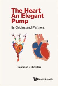The Heart – An Elegant Pump: Its Origins and Partners