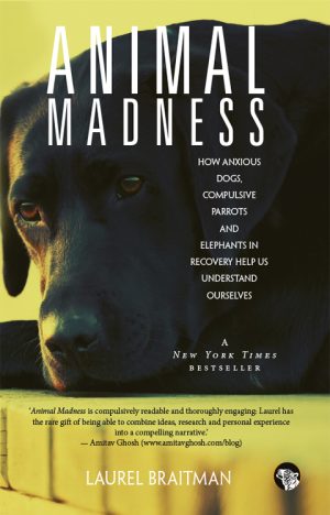Animal Madness: How Anxious Dogs, Compulsive Parrots, And Elephants In Recovery Help Us Understand Ourselves